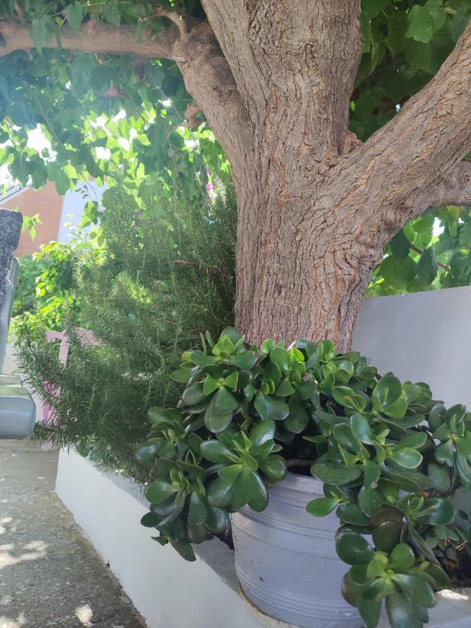 Yannis Apartments Georgioupoli Esterno foto